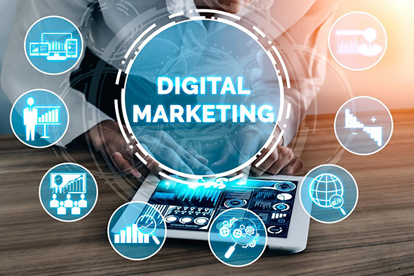 Marketing & Sales