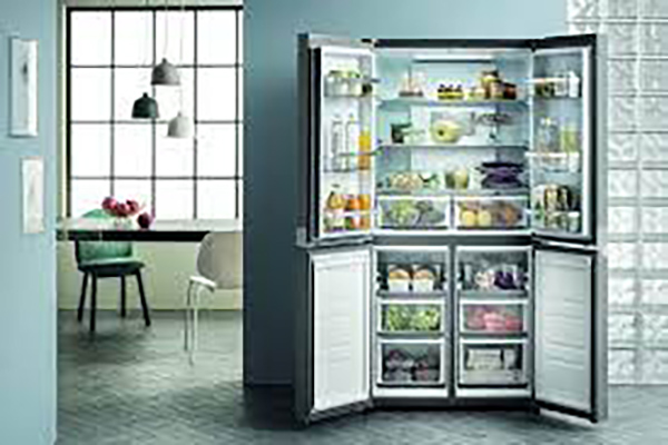 Refrigerator & Dishwasher