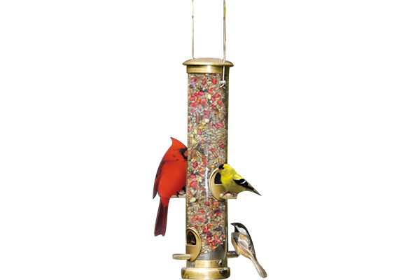 Bird Food