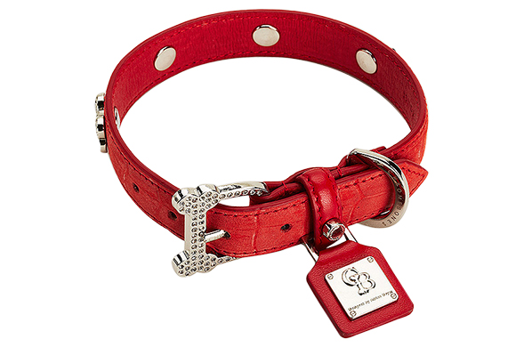 Dog Accessories
