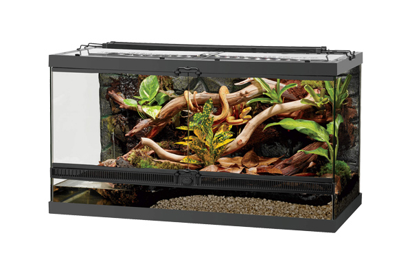 Reptile Terrariums