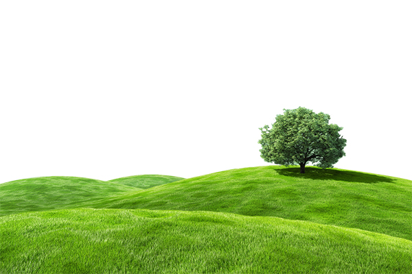 Land