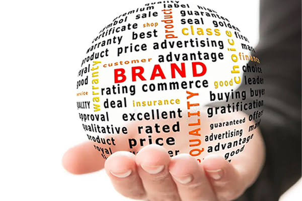 Strategy & Branding