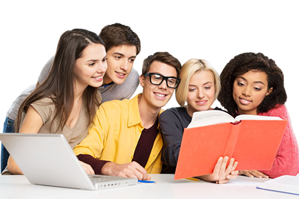 Study Groups