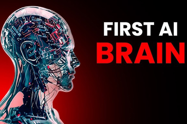 Robotic Brain